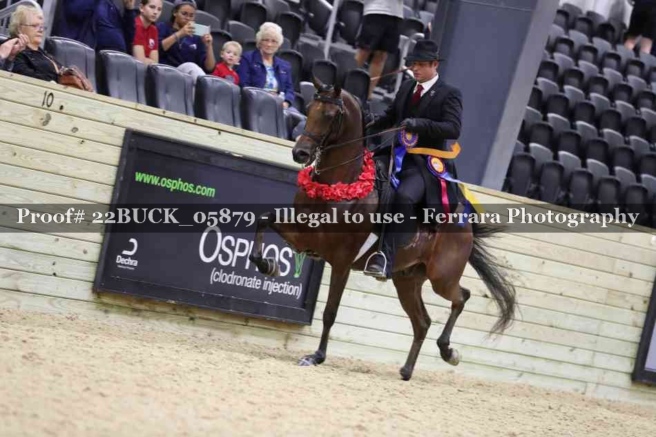 Proof 22BUCK_05879