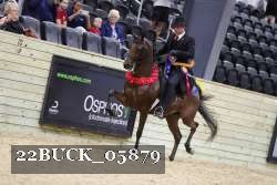 22BUCK_05879 proof
