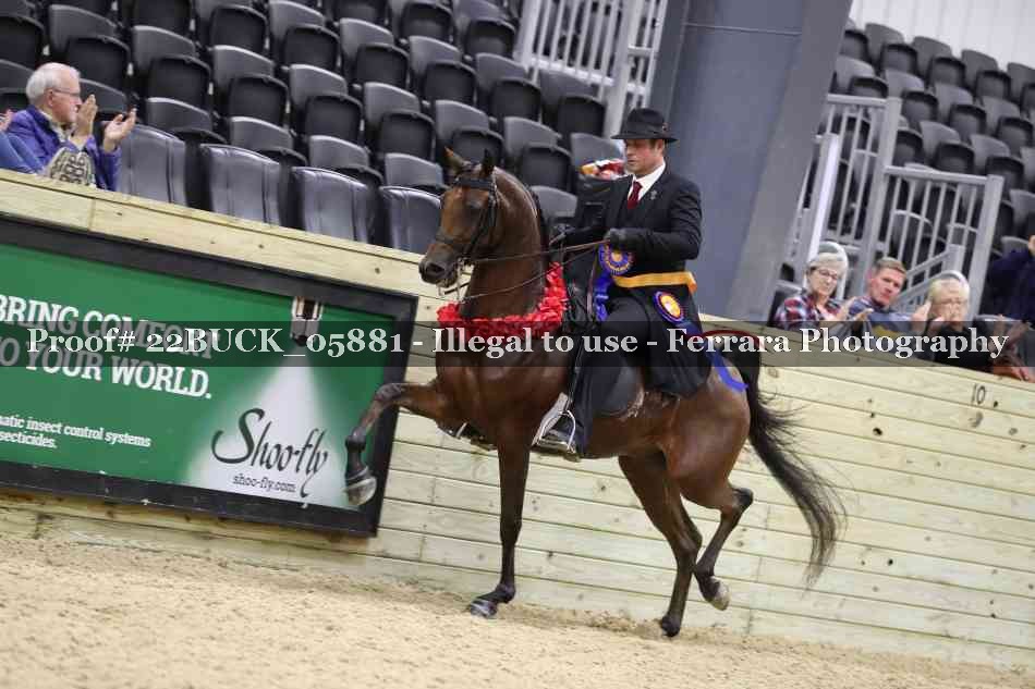 Proof 22BUCK_05881