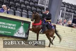 22BUCK_05881 proof