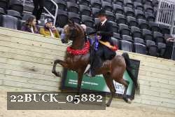 22BUCK_05882 proof
