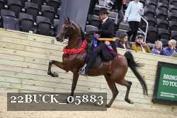 22BUCK_05883 proof
