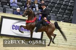 22BUCK_05884 proof