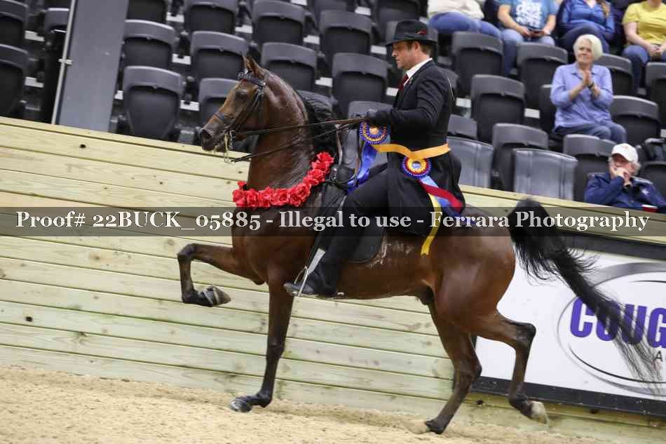Proof 22BUCK_05885