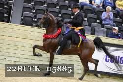 22BUCK_05885 proof