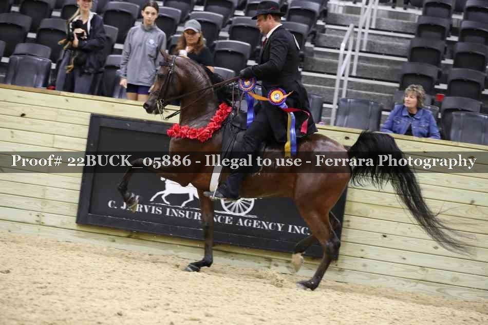Proof 22BUCK_05886