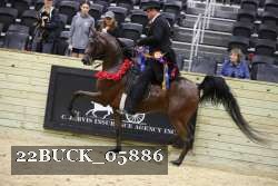 22BUCK_05886 proof
