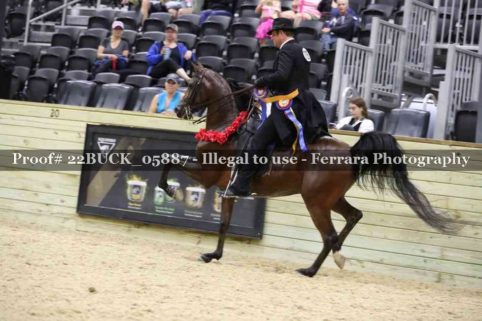 Proof 22BUCK_05887