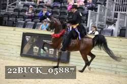 22BUCK_05887 proof