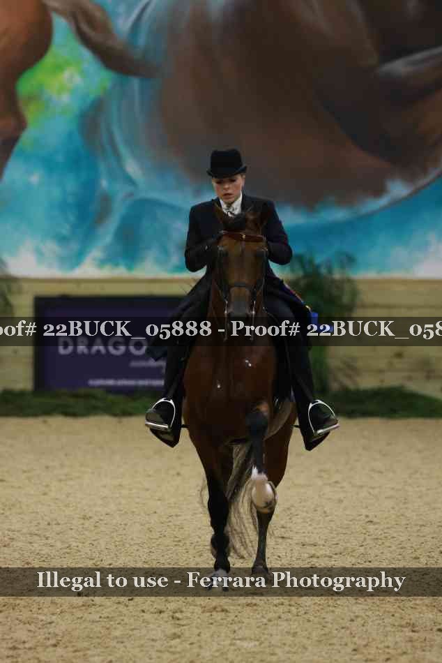 Proof 22BUCK_05888