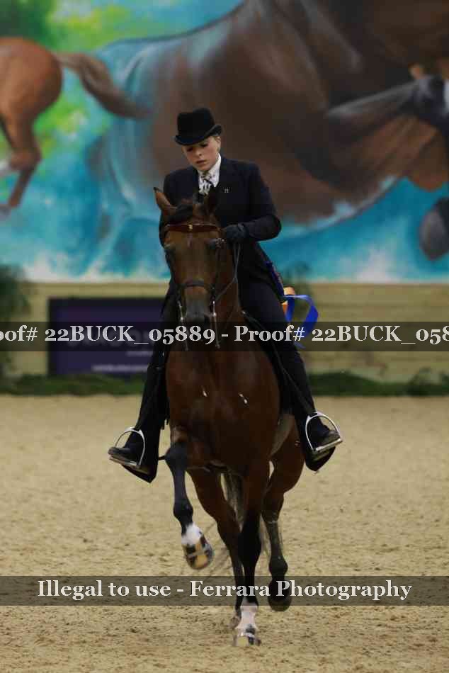 Proof 22BUCK_05889