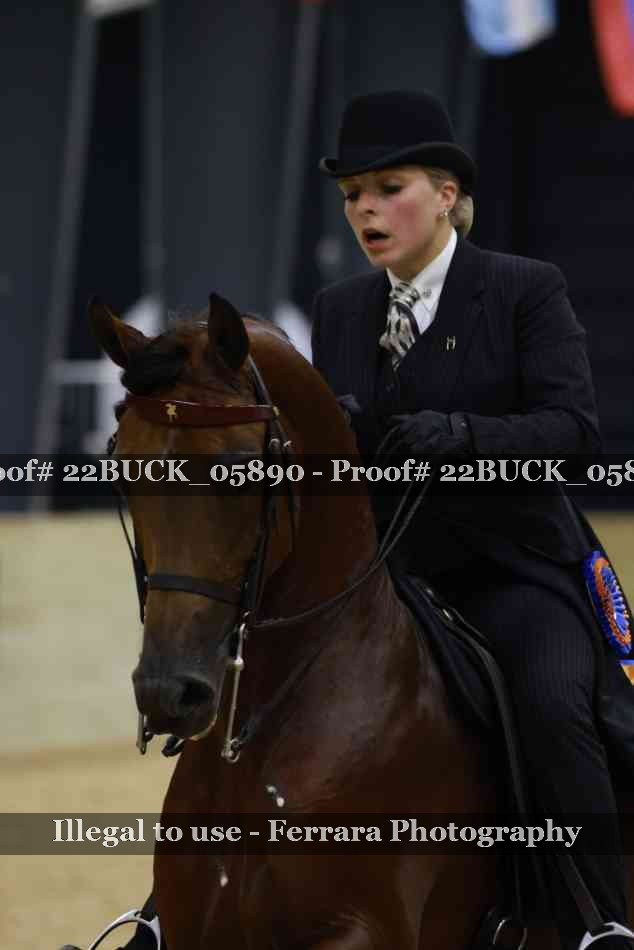 Proof 22BUCK_05890