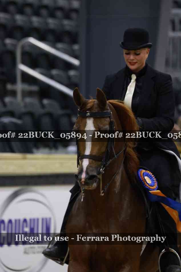 Proof 22BUCK_05894