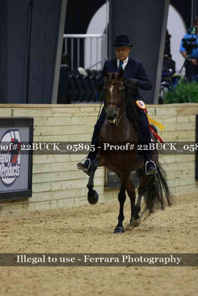 Proof 22BUCK_05895