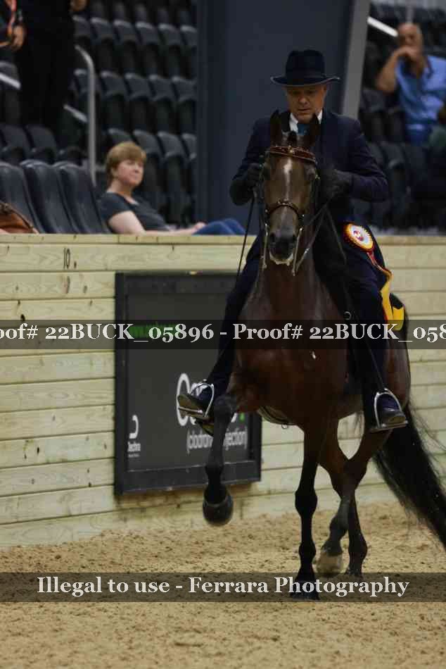 Proof 22BUCK_05896