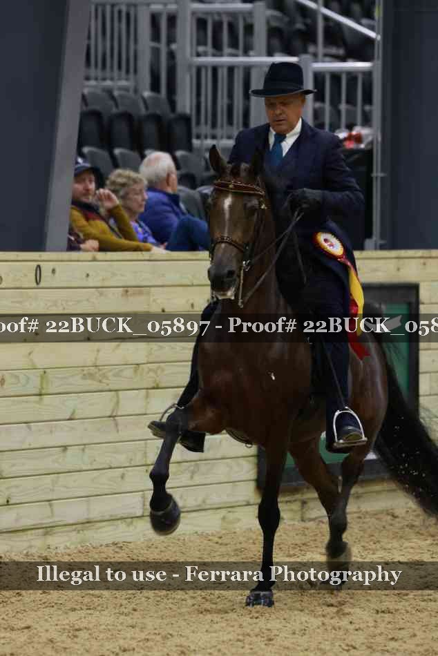 Proof 22BUCK_05897