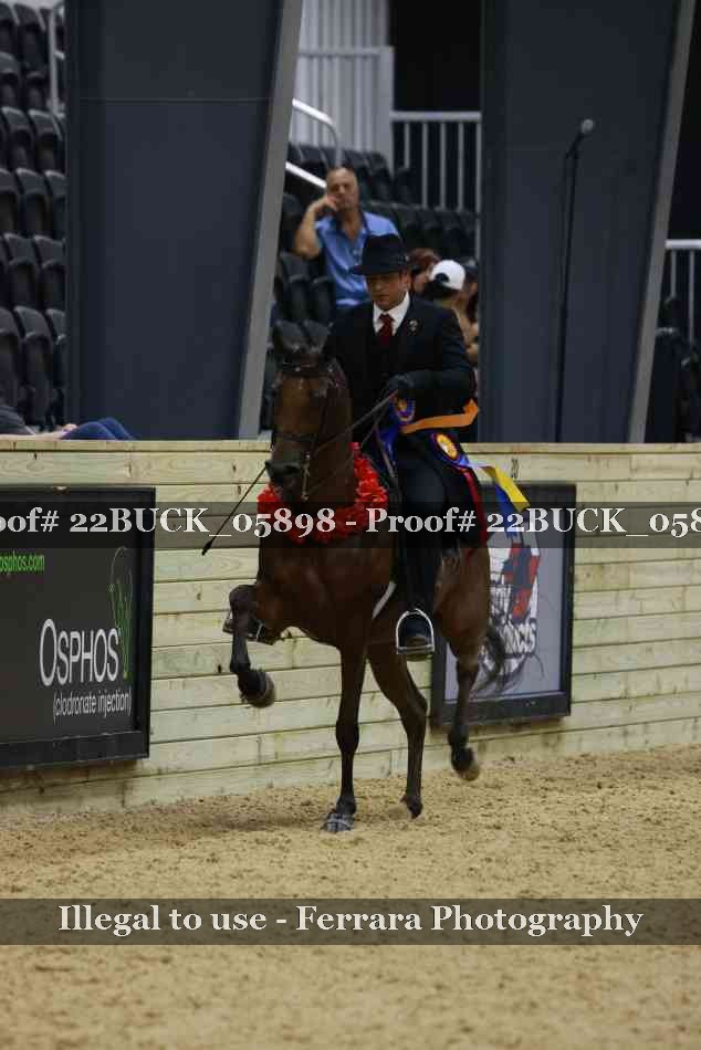 Proof 22BUCK_05898