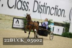 22BUCK_05902 proof