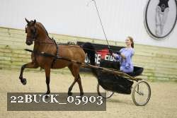22BUCK_05903 proof