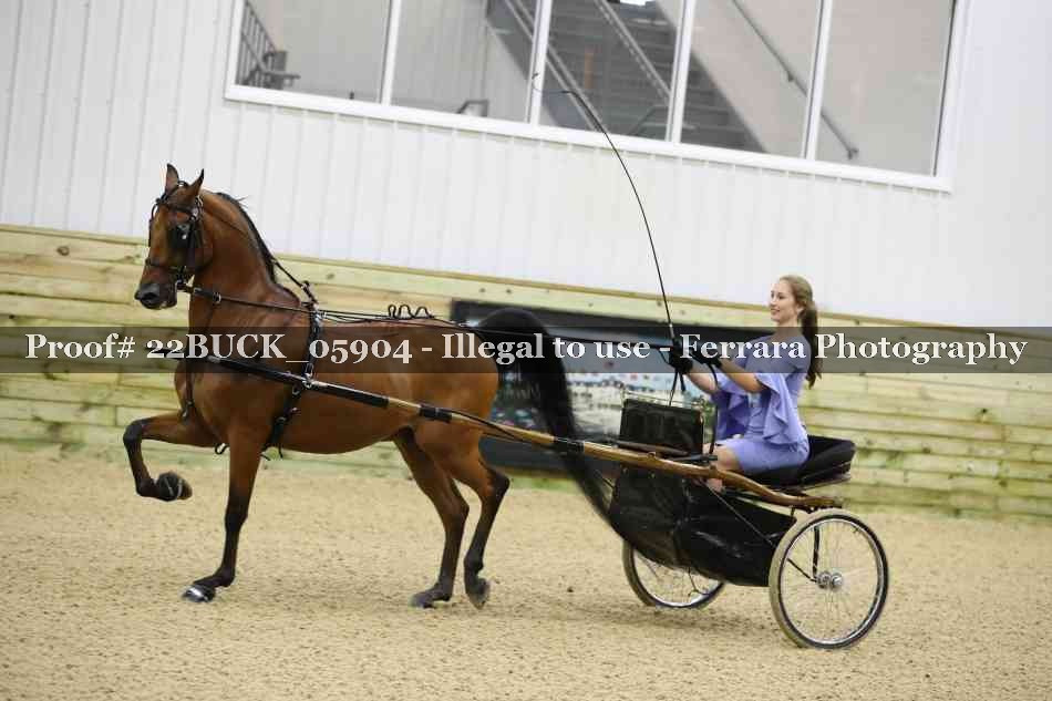 Proof 22BUCK_05904