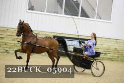 22BUCK_05904 proof