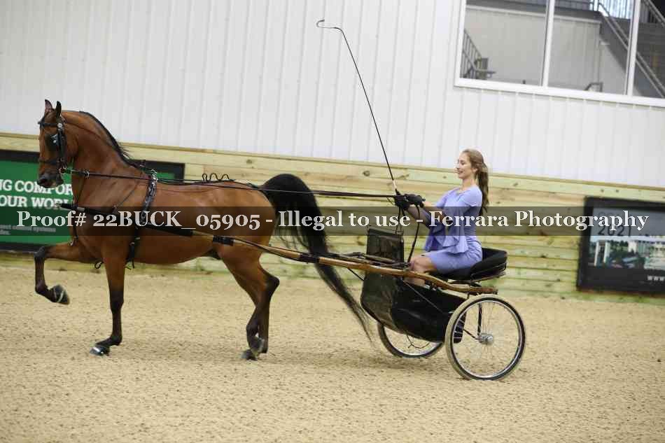 Proof 22BUCK_05905