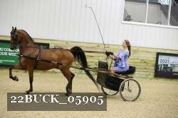 22BUCK_05905 proof