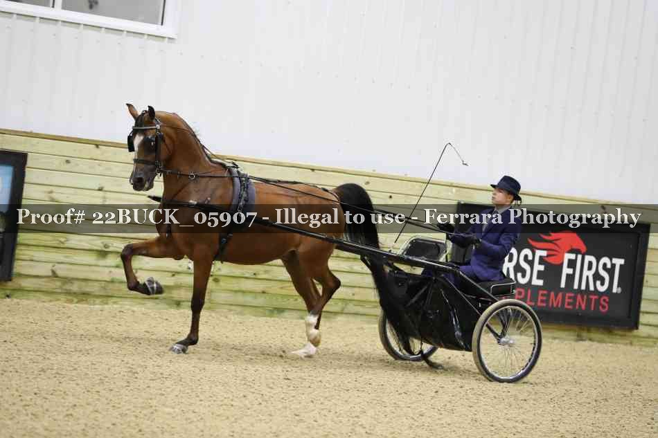 Proof 22BUCK_05907