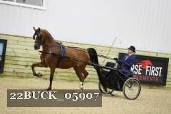 22BUCK_05907 proof
