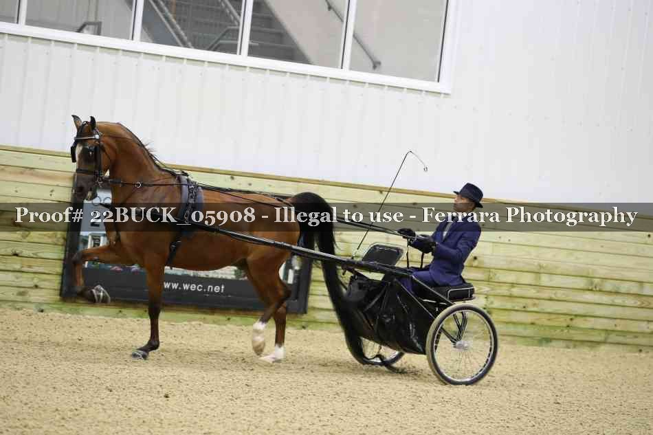 Proof 22BUCK_05908