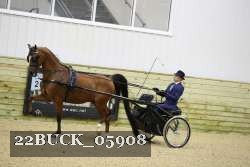 22BUCK_05908 proof