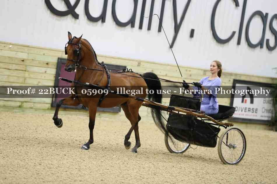 Proof 22BUCK_05909
