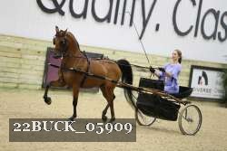 22BUCK_05909 proof
