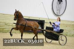 22BUCK_05910 proof