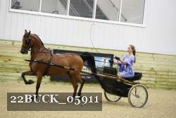22BUCK_05911 proof