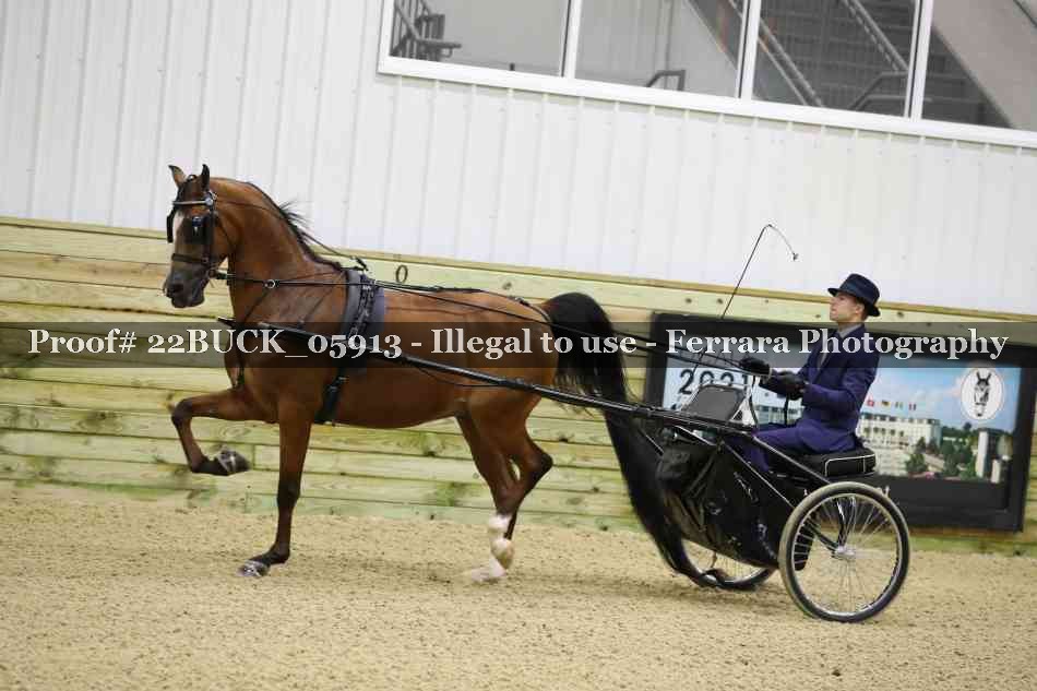 Proof 22BUCK_05913