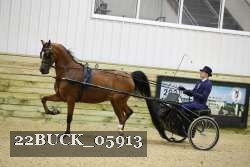 22BUCK_05913 proof