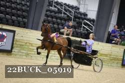 22BUCK_05919 proof