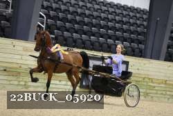 22BUCK_05920 proof