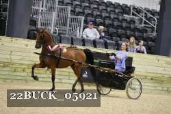 22BUCK_05921 proof