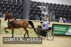 22BUCK_05923 proof