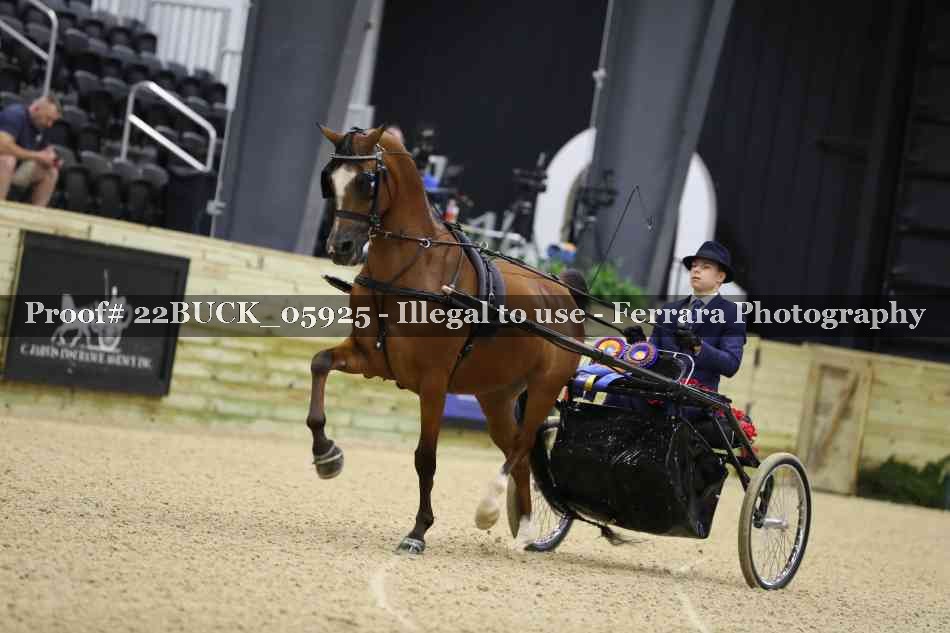 Proof 22BUCK_05925