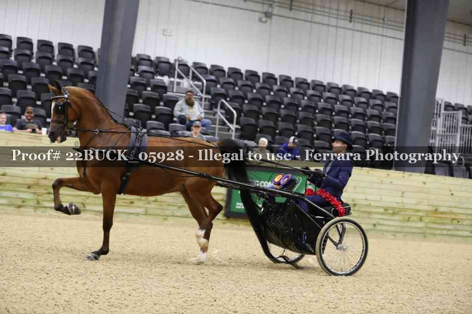 Proof 22BUCK_05928