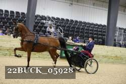 22BUCK_05928 proof
