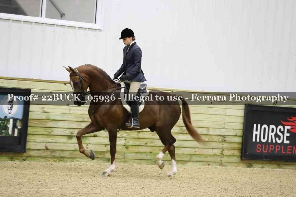 Proof 22BUCK_05936