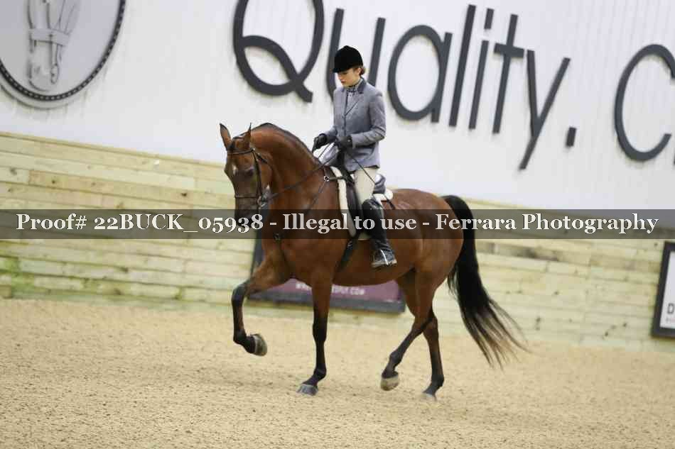 Proof 22BUCK_05938