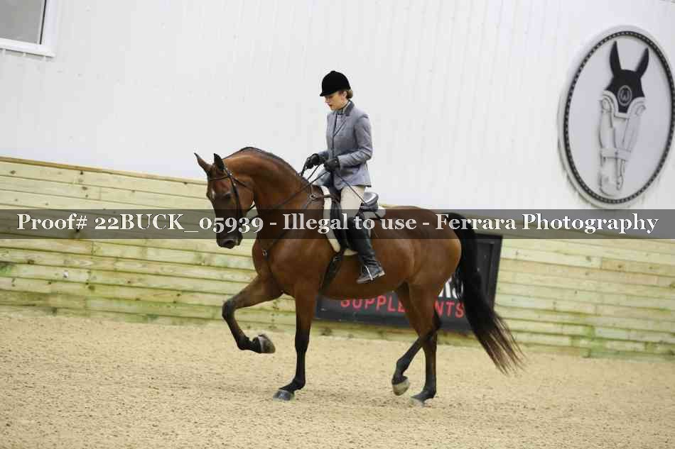 Proof 22BUCK_05939
