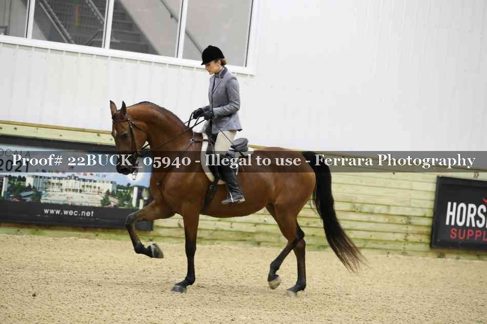 Proof 22BUCK_05940
