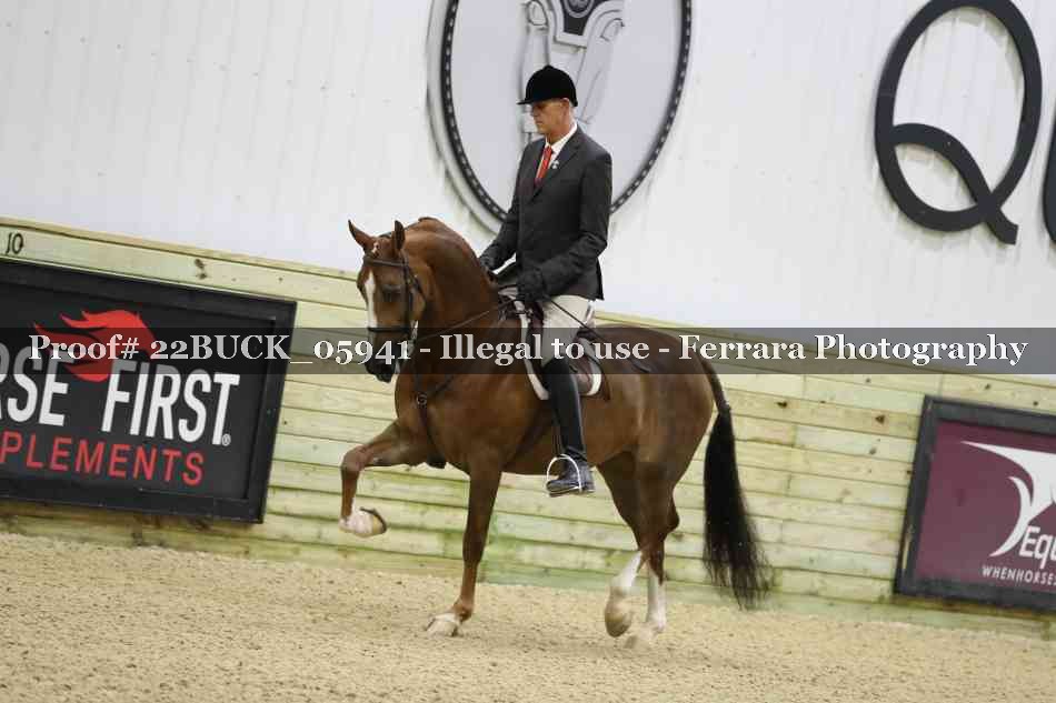 Proof 22BUCK_05941