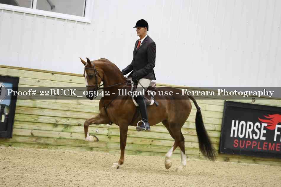 Proof 22BUCK_05942